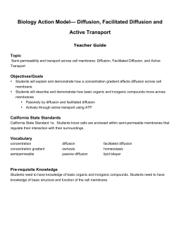 Biology Action Model&mdash; Diffusion, Facilitated Diffusion