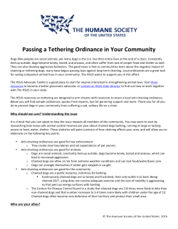 Passing a Tethering Ordinance in Your Community