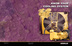 Cooling System Maintenance