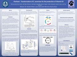 Poster - iGEM 2012