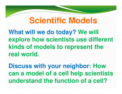 Scientific Models