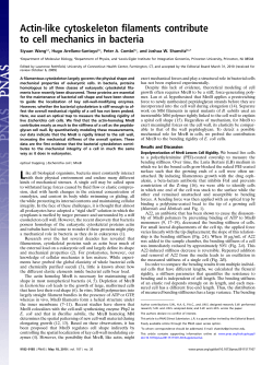 Actin-like cytoskeleton filaments contribute to cell mechanics in