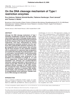 On the DNA cleavage mechanism of Type I restriction enzymes