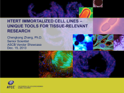 hTERT Immortalized Cells