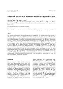 Phylogenetic conservation of chromosome numbers in