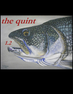 the quint 1.2