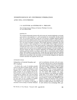 independence of centriole formation and dna