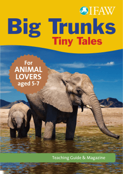 Big Trunks