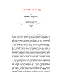The Heart of a Dog