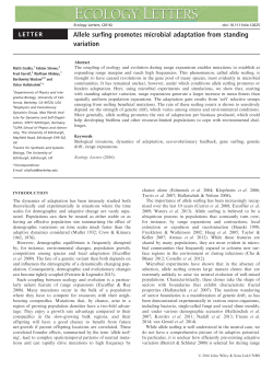Allele surfing promotes microbial adaptation