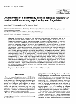 marine red tide-causing raphidophycean flagellates