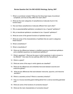 Review Question Set 2 for BIO 423/523 Histology, Spring, 2007 1