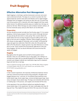 Fruit Bagging - Glean Milwaukee