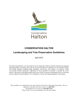 Landscaping and Tree Preservation Guidelines