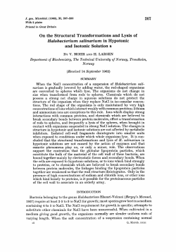 On the Structural Transformations and Lysis of