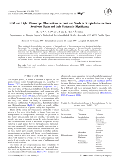 SEM and Light Microscope Observations on Fruit