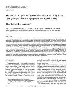 Molecular analysis of sulphur-rich brown coals by flash pyrolysis