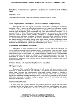 Root phenes for enhanced soil exploration and