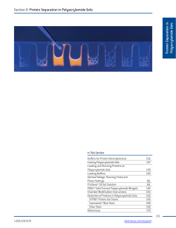 Protein Separation in Polyacrylamide Gels