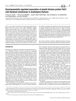 Developmentally regulated association of plastid division protein