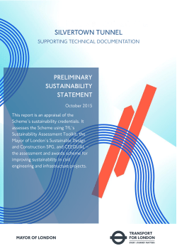 Preliminary Sustainability Statement