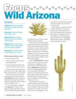 Arizona Deserts