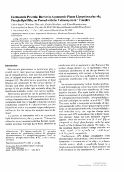 Phospholipid Bilayers Probed with the Valinomycin-K+