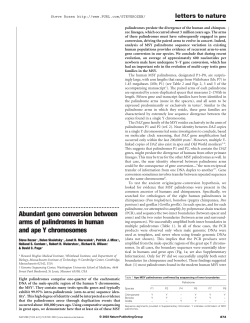 Abundant gene conversion between arms of