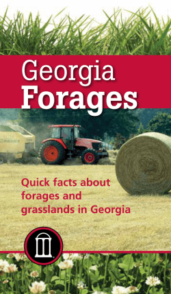Georgia Forages