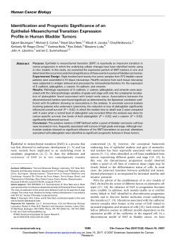 Identification and Prognostic Significance of an Epithelial