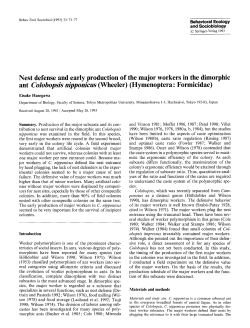 Nest defense and early production of the major workers in the
