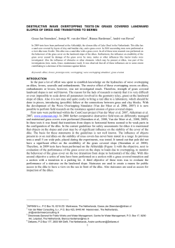 1 DESTRUCTIVE WAVE OVERTOPPING TESTS ON