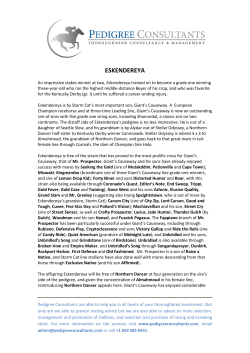 eskendereya - Taylor Made Stallions