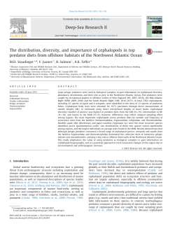 The distribution, diversity, and importance of cephalopods in top