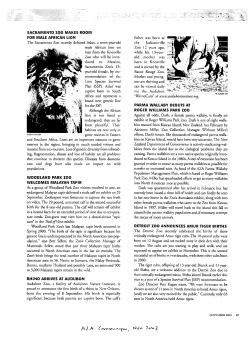 sacrament0 zoo makes room for male african lion woodland park