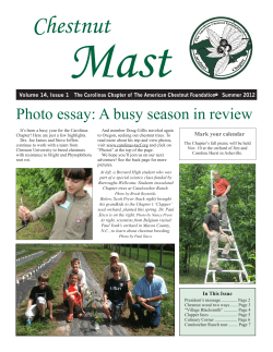 Summer 2012 - The American Chestnut Foundation