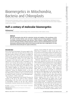 Bioenergetics in Mitochondria, Bacteria and Chloroplasts