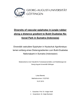 Diversity of vascular epiphytes in jungle rubber along a distance