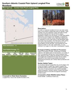 Southern Atlantic Coastal Plain Upland Longleaf Pine Woodland