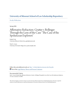 Grutter v. Bollinger Through the Lens of the Case