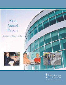 2003 Annual Report - City of Medicine Hat