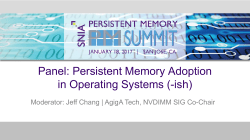 Panel: Persistent Memory Adoption in Operating Systems (-ish)
