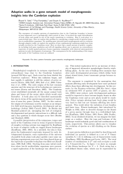 Adaptive walks in a gene network model of morphogenesis: insights