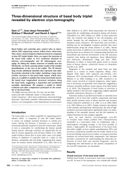 Threedimensional structure of basal body triplet revealed by