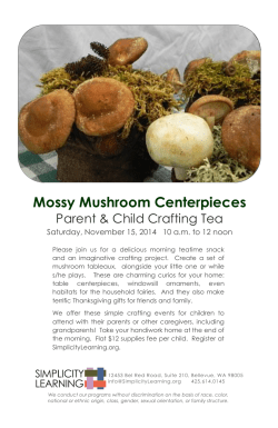Mossy Mushroom Centerpieces