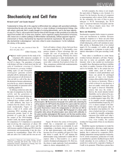 Stochasticity and Cell Fate REVIEW