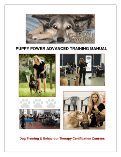 puppy power advanced training manual