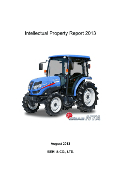Intellectual Property Report2013