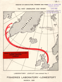The West Greenland cod fishery