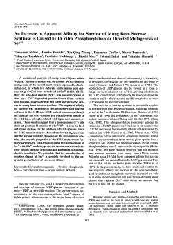 An Increase in Apparent Affinity for Sucrose of Mung Bean Sucrose